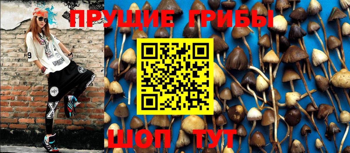 Галлюциногенные грибы мицелий Кинель