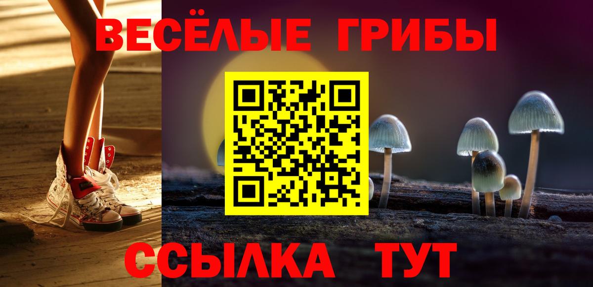 Кинель  Галлюциногенные грибы мухоморы  Вход с VPN 